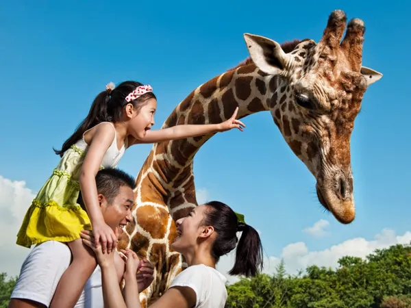 What is Hangzhou Safari Park?
