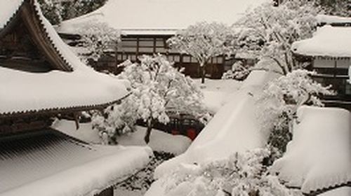 石川县加贺市 日本福井县东寻坊 永平寺一日游 出租车轻鬆移动 线路推荐 携程玩乐