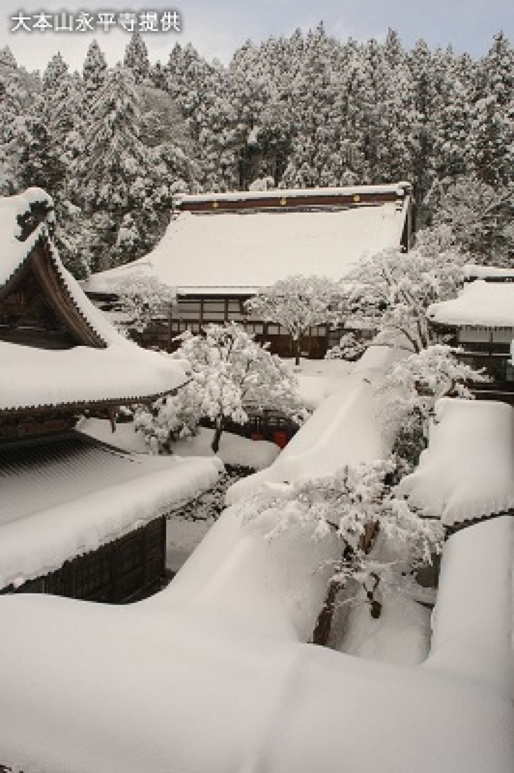 日本福井县东寻坊 永平寺 丸岡城一日游 出租车轻鬆移动 线路推荐 携程玩乐