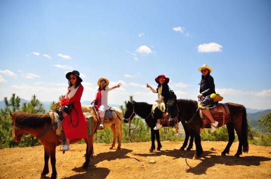 拉市海茶马古道骑马划船午餐往返直通车接送可加含千古情套餐