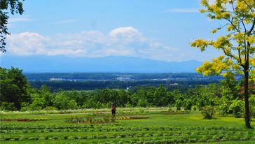 【携程攻略】带广【十胜川出发星野度假村新千