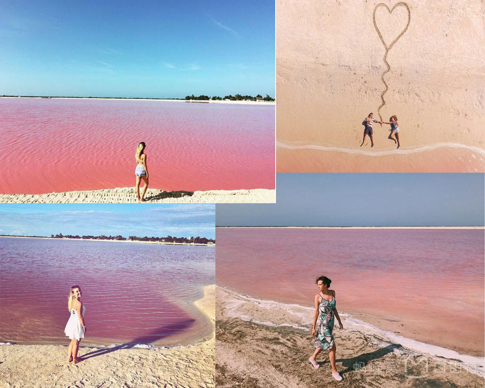 坎昆粉红湖+火烈鸟保护区+玛雅天然养肤泥浴