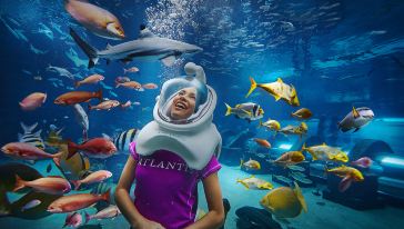 16-02-26-Atlantis-3343 Final_flatnopalm