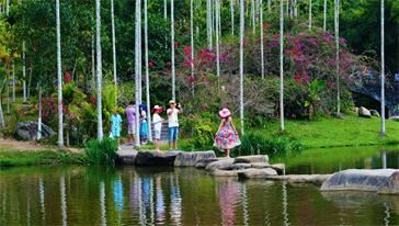 中国海南呀诺达雨林文化旅游区一日游【三亚多