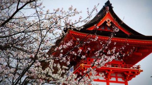 日本京都金阁寺 清水寺 伏见稻荷大社 大阪道顿崛 心斋桥一日游 1人起订热门景点打卡中文服务 线路推荐 携程玩乐