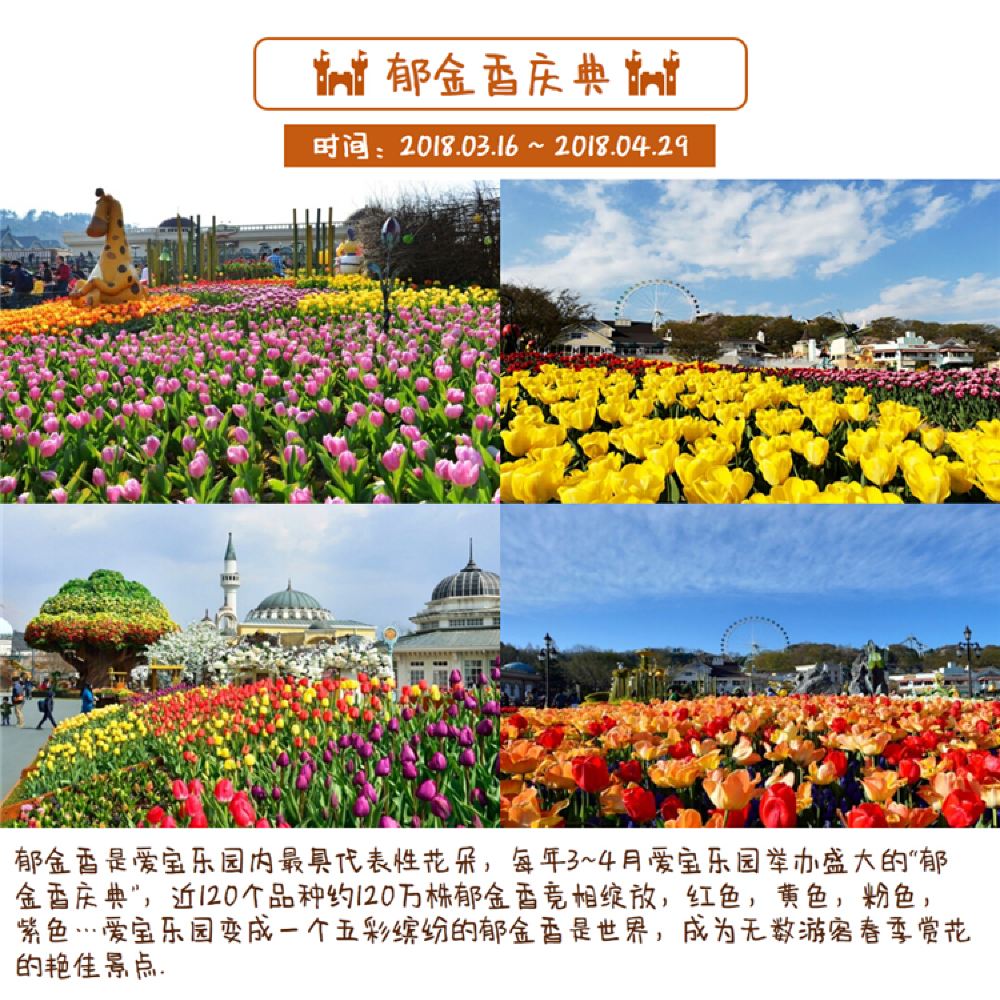 韩国爱宝乐园一日游 郁金香庆典无购物 线路推荐 携程玩乐