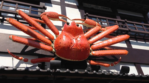 日本全国网红螃蟹料理札幌蟹本家 かに本家 套餐预约 网红美食 线路推荐 携程玩乐