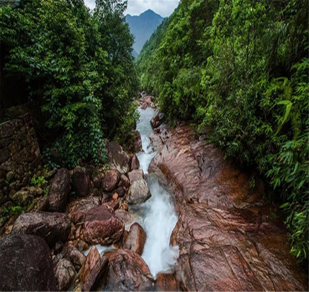 龙井山