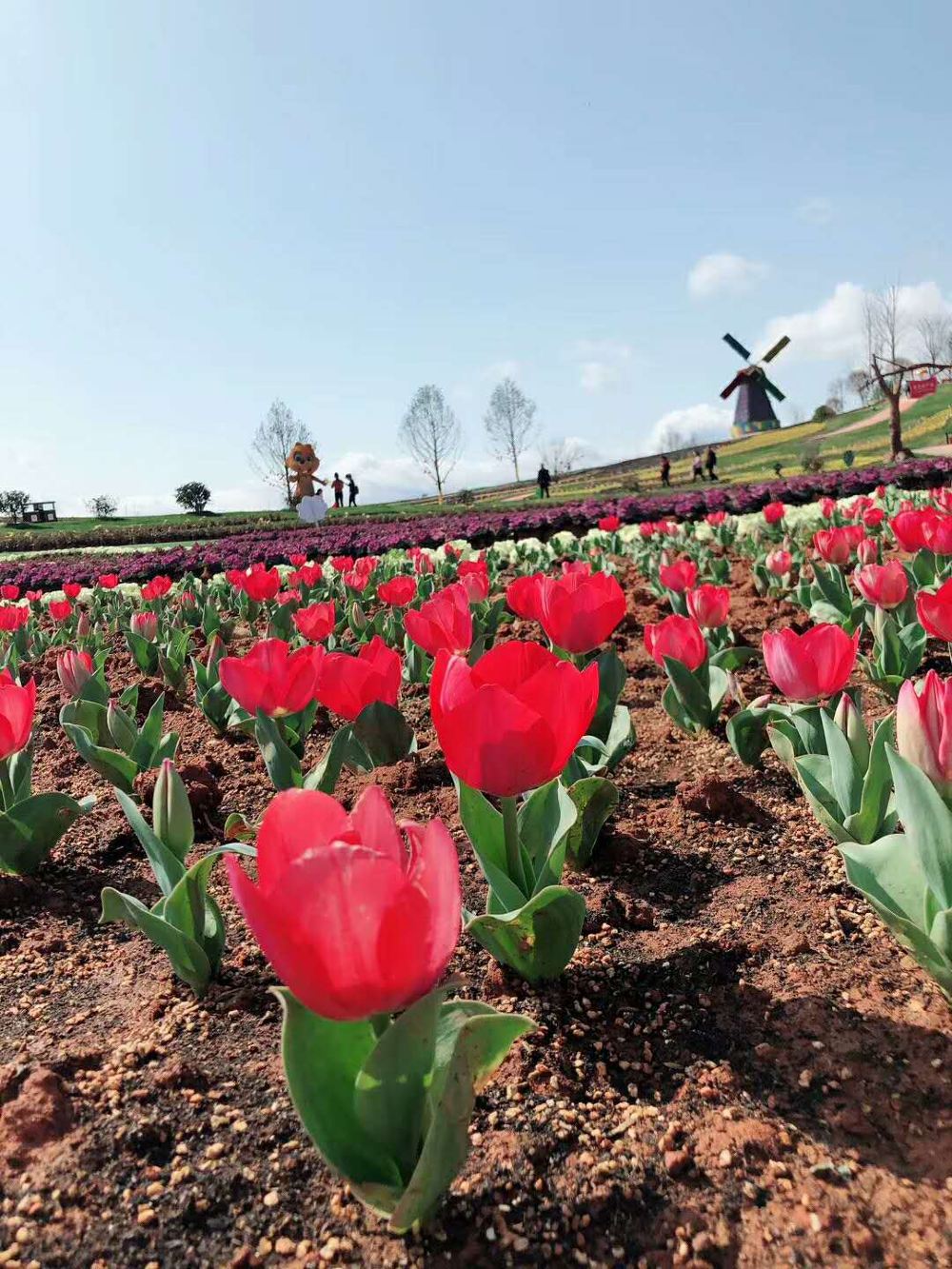 江西万安花花世界一日游游乐赏花万安花花世界中华民间游戏村