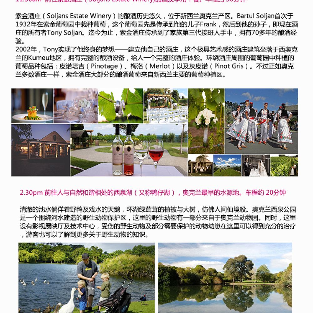 新西兰奥克兰鸟岛 黑沙滩 西泉湖一日游 含酒庄品酒及午餐 中文 摄影必去线路 线路推荐 携程玩乐 新西兰奥克兰鸟岛 黑沙滩 西泉湖一日游 含酒庄品酒及午餐 中文 摄影必去线路 线路推荐 携程玩乐