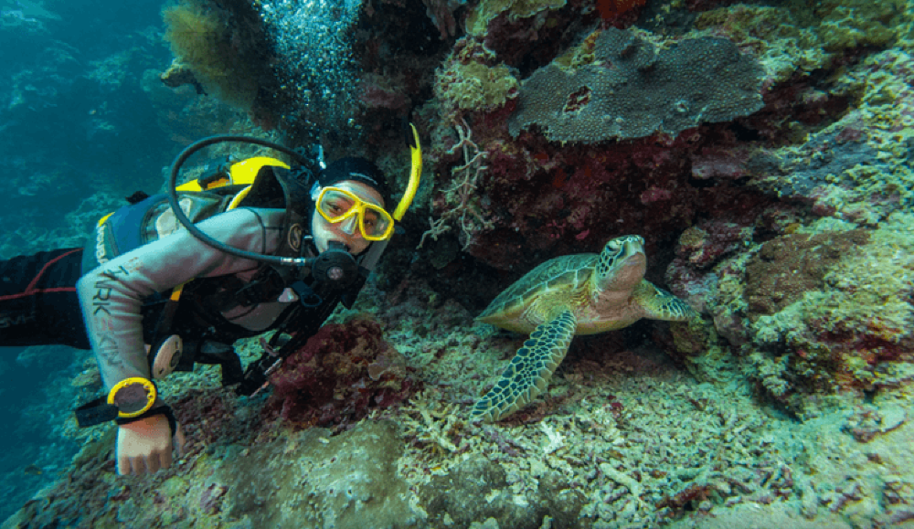 沙巴仙本那马布岛卡帕莱岛一日游2次浮潜专业教练浮潜装备