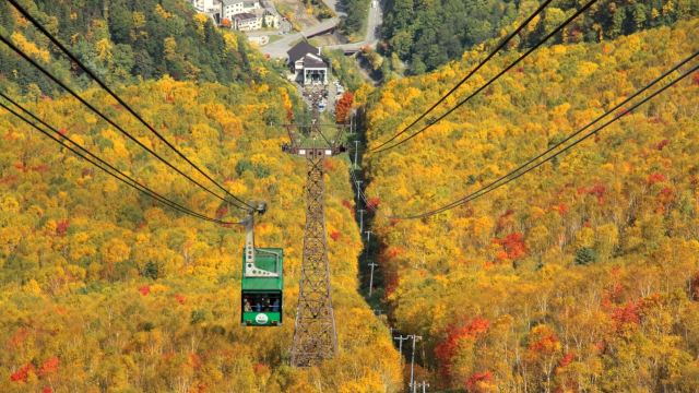 日本北海道上川层云峡 银泉台 黑岳缆车 赏红叶一日游【日本最早的