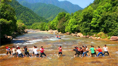 嫩江湾国家湿地公园：自然与人文和谐共舞的生态乐园