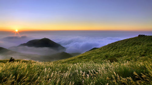 大屯山+北投温泉博物馆+地热谷包车一日游【陽明山賞花 北投享溫泉】线路推荐【携程玩乐】