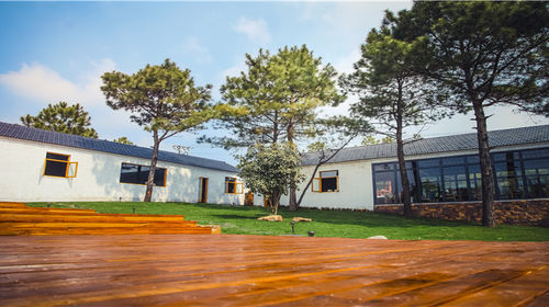 南京高淳老街+高淳国际慢城旅游度假区包车一