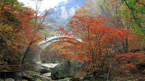 天桥沟森林公园：东北山水之韵