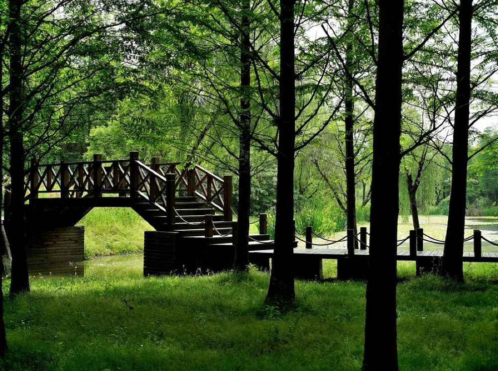 上海一日游青溪郊野公园大观园水网密布村落错落有致