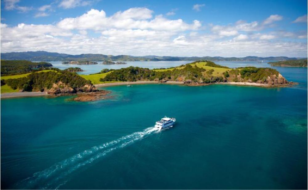 新西兰奥克兰岛屿湾一日游海豚观赏岩中洞奥克兰出发大巴往返