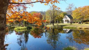 【携程攻略】带广【十胜川出发星野度假村新千