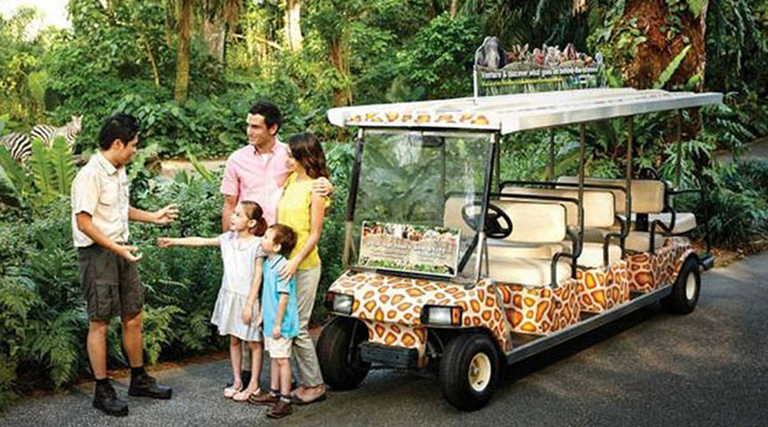 Day Tour Of Jurong Bird Park Singapore Zoo Night Safari Trip Com