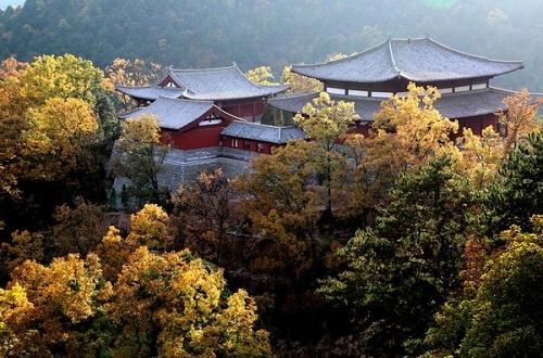 陝西黃陵國家森林公園一日遊【黃陵軒轅養生谷 紫峨寺一日遊】