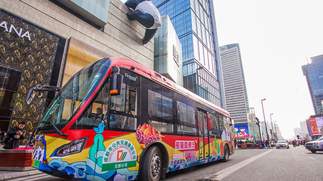 citytour成都旅游观光巴士熊猫直通线春熙路宽窄巷子熊猫基地