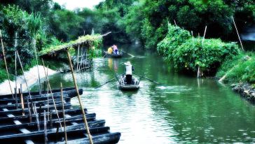 大雁山+古劳水乡游船一日游【登高远眺水乡游