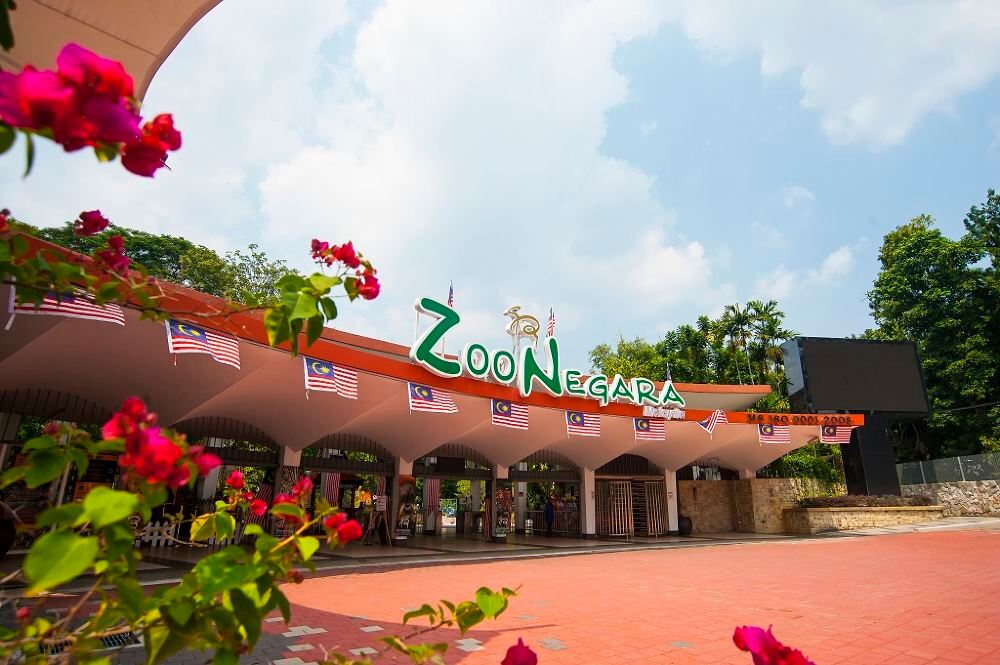 Zoo Negara Malaysia Ticket Trip Com
