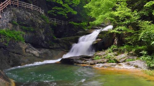 五龍河風景區一日遊