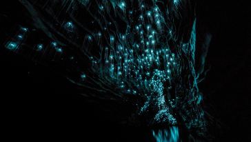 Waitomo Glowworm Caves 怀托摩萤火虫洞