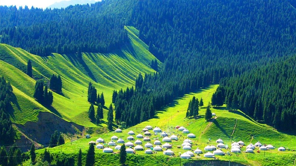 新疆乌鲁木齐南山牧场一日游赠送新疆烤肉薰衣草香袋