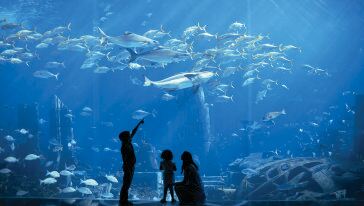 marine_and_waterpark_ambassador_lagoon_30_07_2012_9436hr