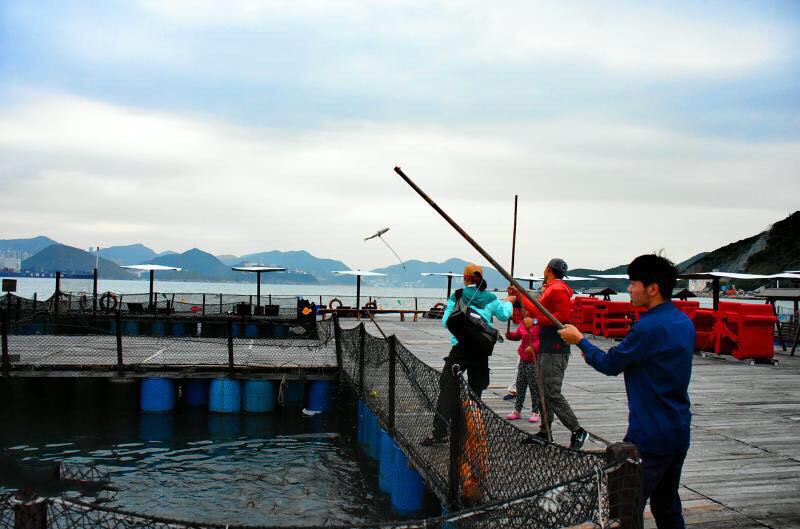 登上位於全港養魚區索罟灣的【南丫島漁民文化村】專人帶領觀賞本土