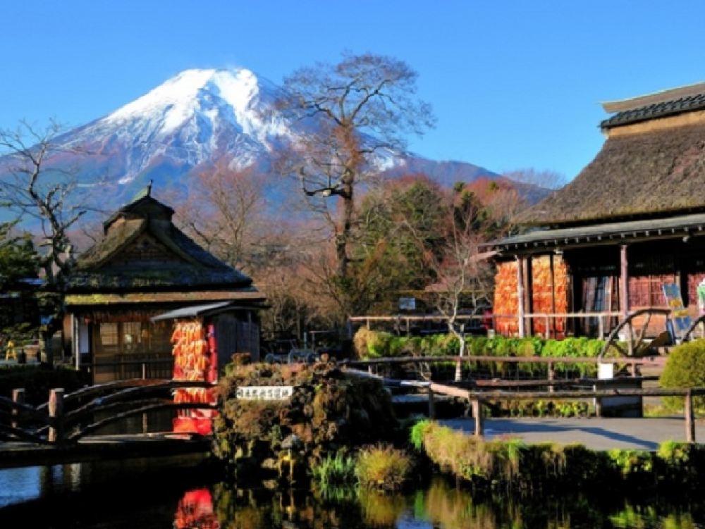 富士山五合目 河口湖 忍野八海 御殿场奥特莱斯一日游 中文服务 东京or新宿出发 1人成团 线路推荐 携程玩乐