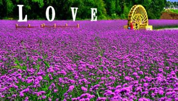 江西九江西海水世界·巾口景区+庐山西海花千