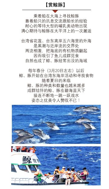 �������硿�;���2_����