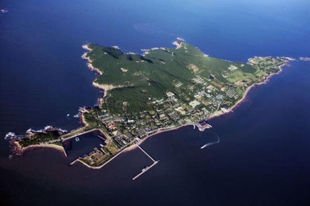 黄尾屿蜈蚣主要盛产于钓鱼岛附近的黄尾屿,钓鱼岛本岛也有分布黄尾屿