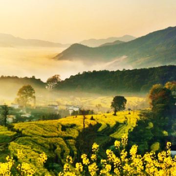 婺源李坑景区攻略-李坑景区门票价格多少钱-团购票价预定优惠-景点