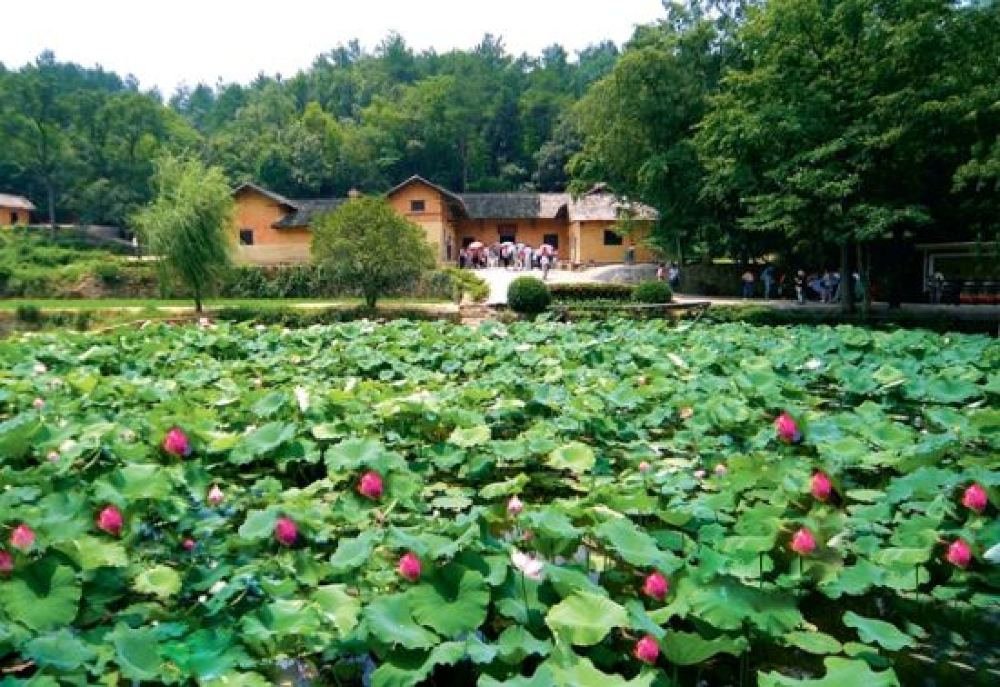 毛泽东故居 花明楼景区 毛泽东纪念馆一日游 升级滴水洞可走故居免排队专用通道 线路推荐 携程玩乐