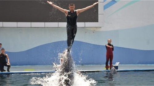 秦皇岛圣蓝海洋公园+传奇3D裸眼错觉艺术体验馆一日游【欢乐亲子游,纯玩!】线路推荐【携程玩乐】