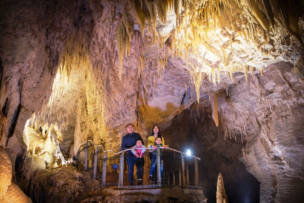 懷托摩螢火蟲洞門票