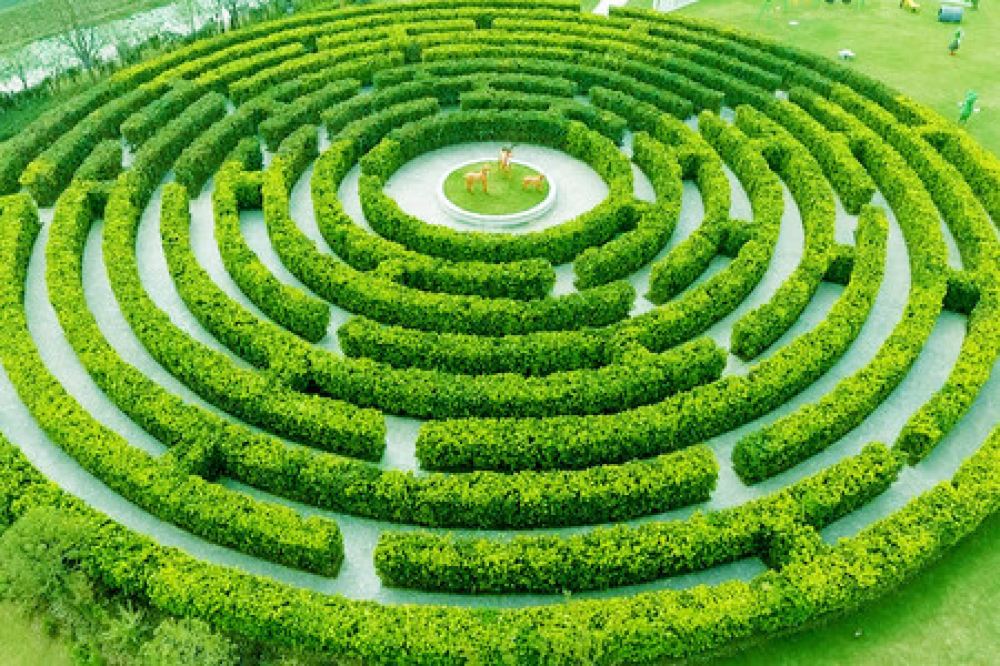 盐城梦幻迷宫一日游穿越绿野迷踪