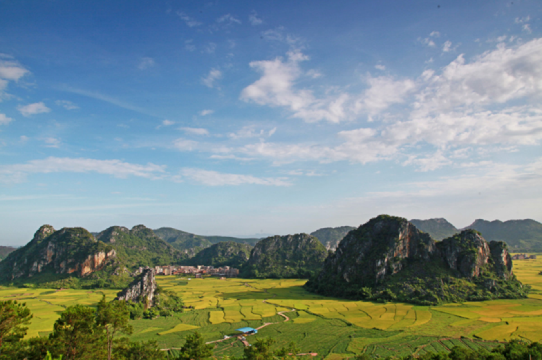 云浮苹塘石山峰林风景区一日游徒步苹塘稻田风光赏峰林画卷纯玩无购物