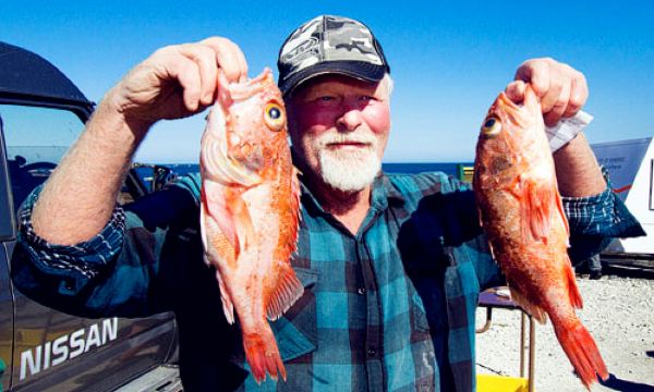 另外,根据新西兰渔业法的规定,任何船长都不可以保证一定可以有龙虾