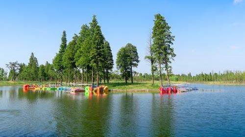 固城湖水慢城一日游【国际慢城高淳桠溪、高