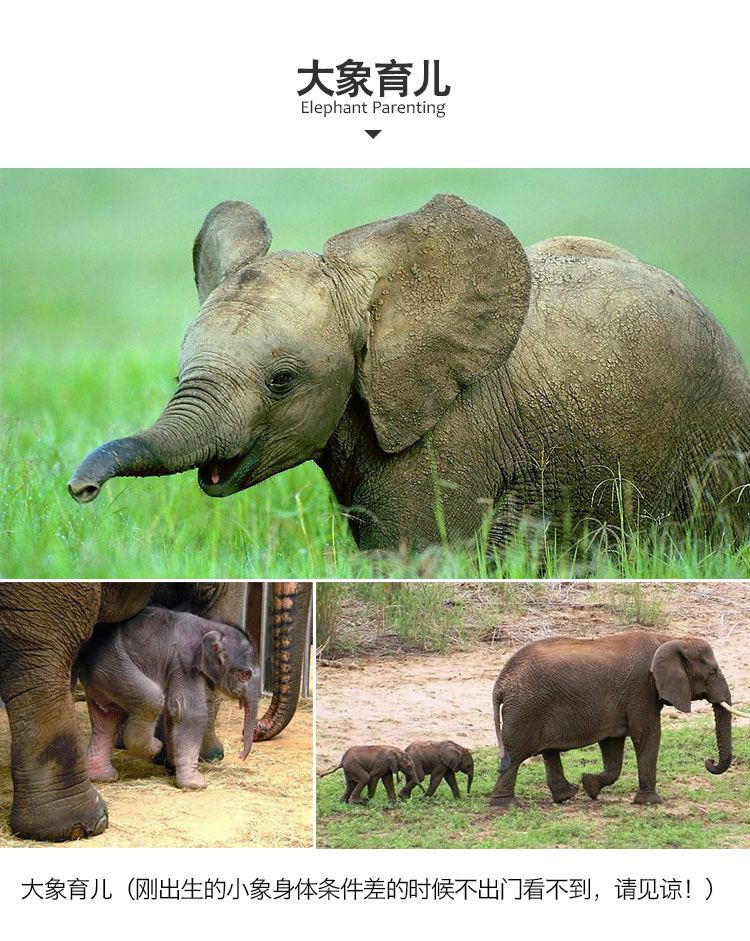 350m0l000000d7n2q6B47.jpg