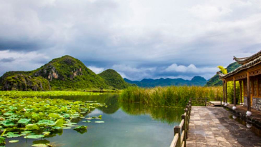 雲南昆明丘北普者黑景區天鵝湖青龍山二日遊菜花箐三生三世外景地休閒