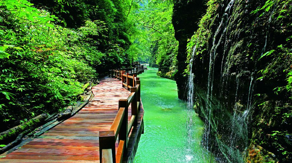 重庆黑山谷风景区一日游纯玩直通车主城定点接