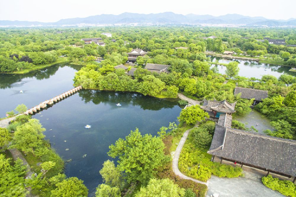 杭州西溪国家湿地公园一日游西溪摇橹船专车上门接坐摇橹船品花茶赏