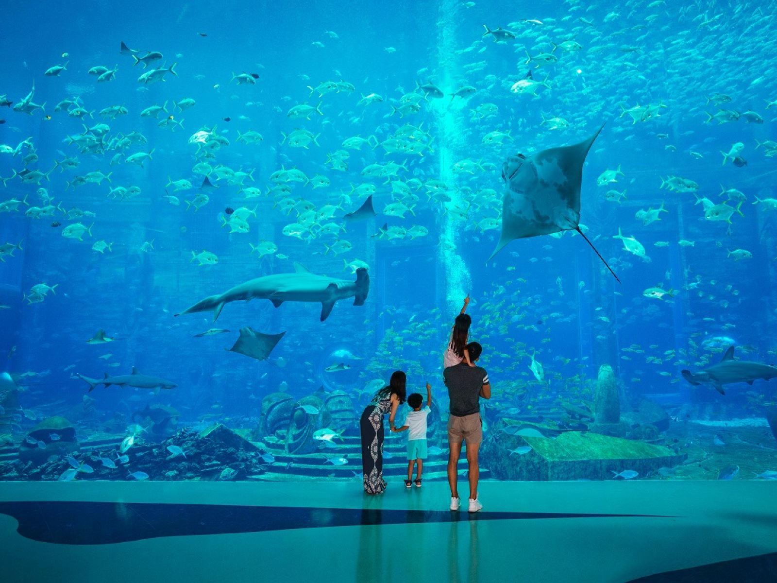 三亚亚特兰蒂斯失落的空间水族馆(The Lost Chambers Aquarium (Sanya))